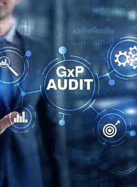 gxp-auditing-services